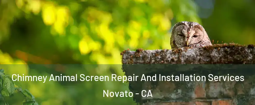  Chimney Animal Screen Repair And Installation Services Novato - CA
