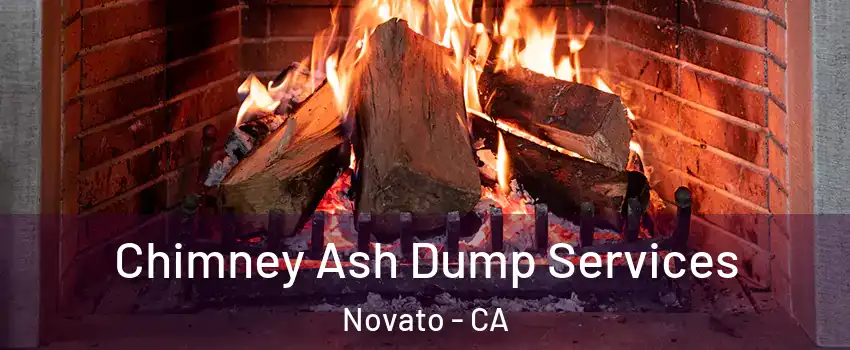  Chimney Ash Dump Services Novato - CA