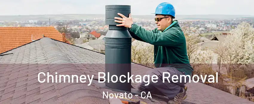 Chimney Blockage Removal Novato - CA