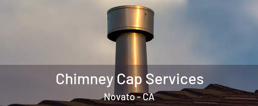  Chimney Cap Services Novato - CA