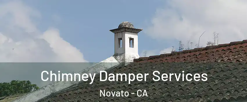  Chimney Damper Services Novato - CA