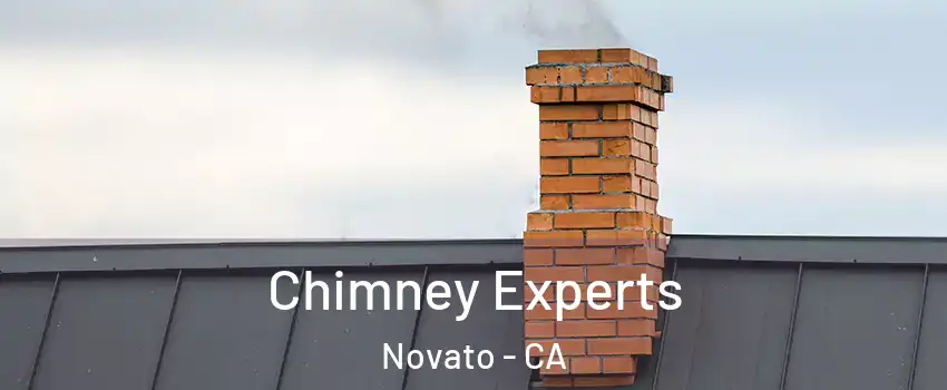 Chimney Experts Novato - CA