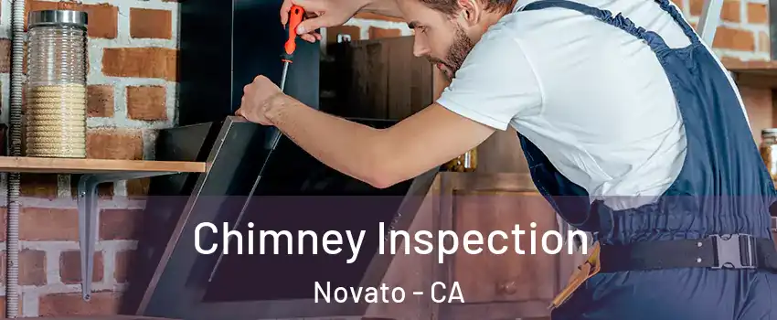  Chimney Inspection Novato - CA