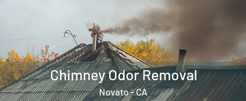  Chimney Odor Removal Novato - CA