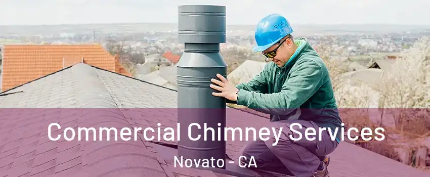 Commercial Chimney Services Novato - CA