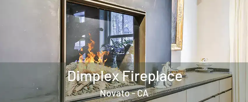  Dimplex Fireplace Novato - CA