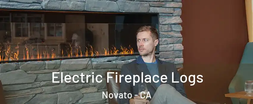 Electric Fireplace Logs Novato - CA
