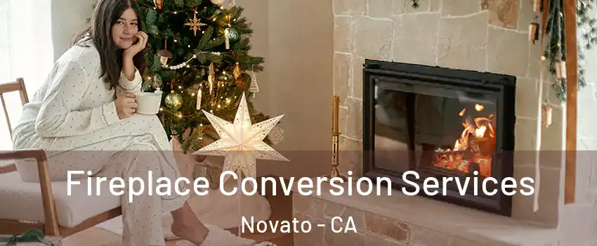  Fireplace Conversion Services Novato - CA