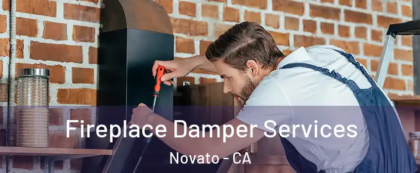  Fireplace Damper Services Novato - CA