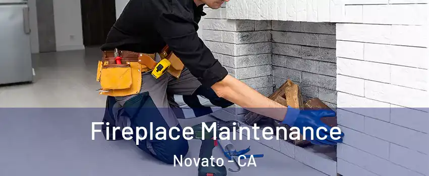  Fireplace Maintenance Novato - CA