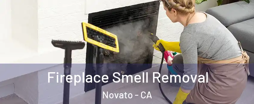  Fireplace Smell Removal Novato - CA