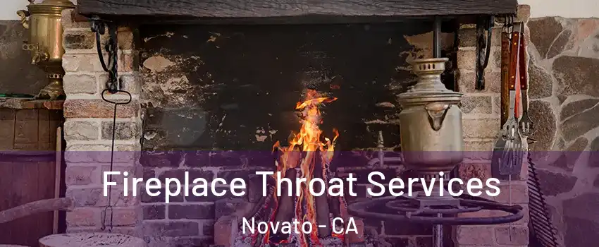  Fireplace Throat Services Novato - CA