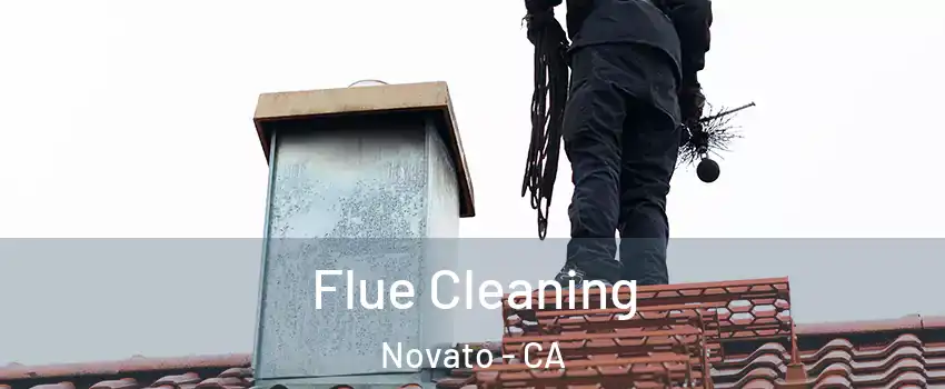  Flue Cleaning Novato - CA