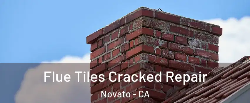  Flue Tiles Cracked Repair Novato - CA