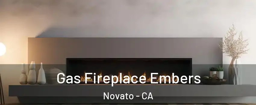  Gas Fireplace Embers Novato - CA