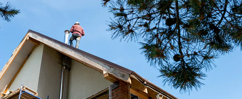 Birds Removal Contractors from Chimney in Novato, CA