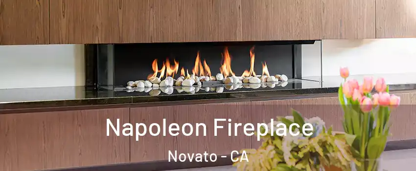  Napoleon Fireplace Novato - CA