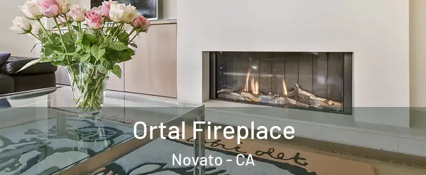 Ortal Fireplace Novato - CA