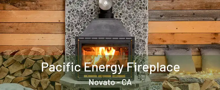  Pacific Energy Fireplace Novato - CA