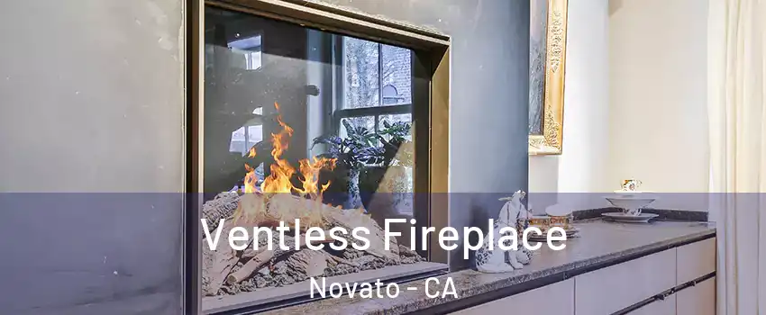  Ventless Fireplace Novato - CA